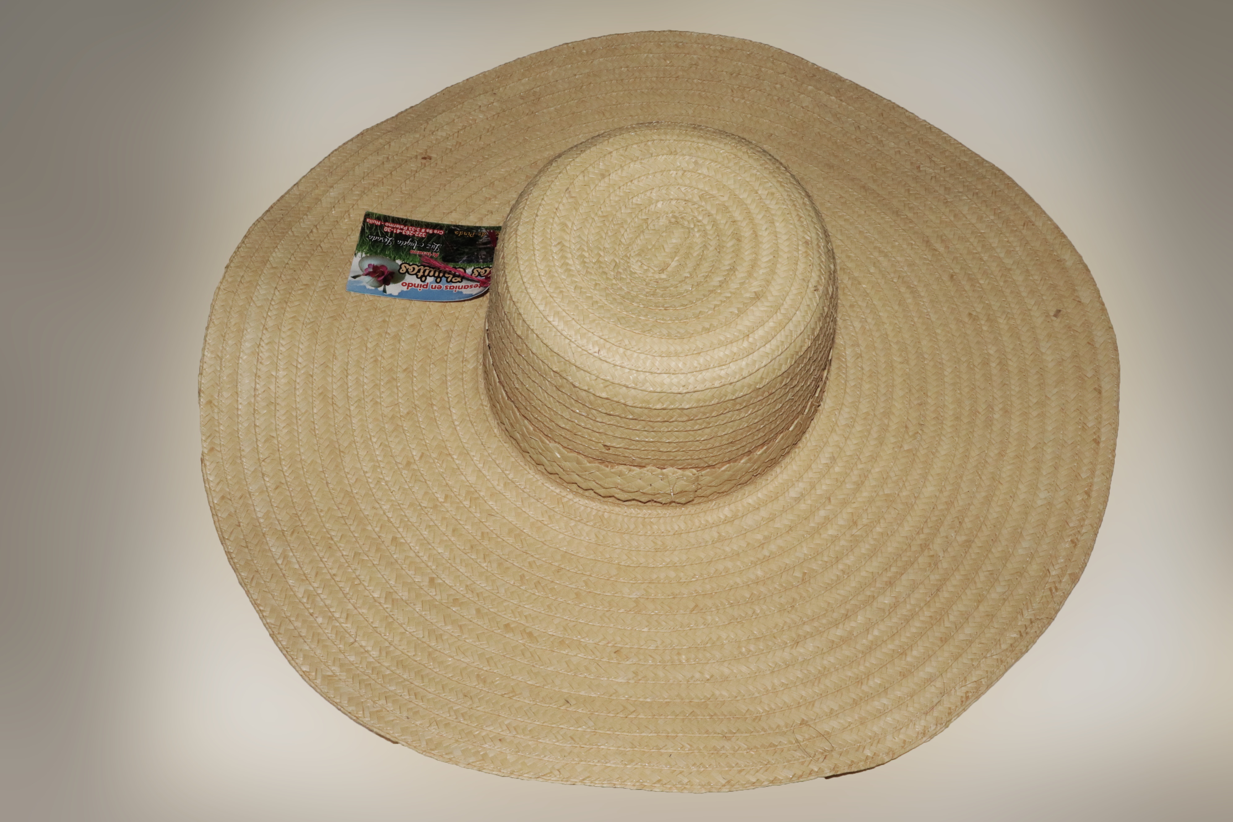 SOMBRERO ALA ANCHA EN PINDO