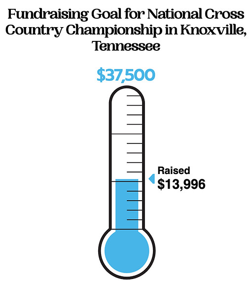 fundraising-goal (4).jpeg