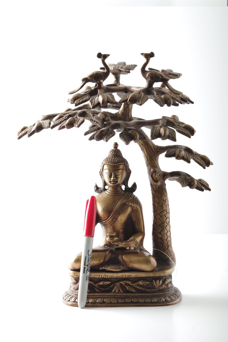 Thumbnail: Brass Buddha under the tree