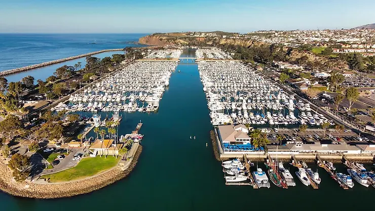 Dana Point Whale Watching vs. Newport: Which Is Better?