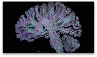 Science brain