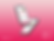 app mockup 2.png