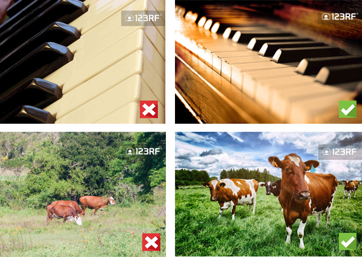 7 Best Tips To Get Your Photos Accepted On 123RF (Part 2-Quality)