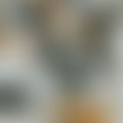 Celebrate World Cat Day With Our Stock Photo Collection