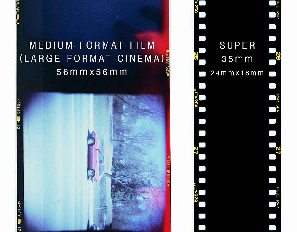 Filming With A Large Format Camera - Behind The Scenes of “Ella” 123rf blog footage