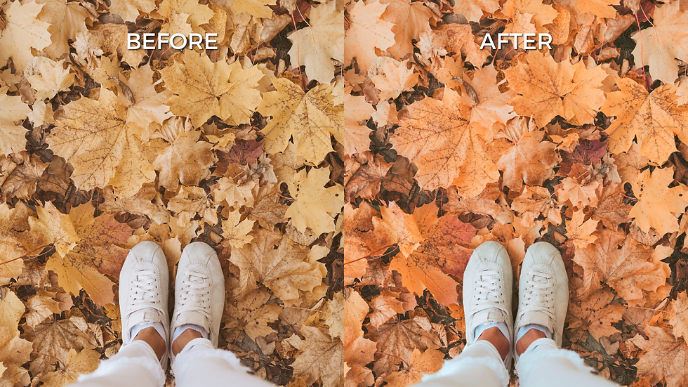 Female feet in autumn fashion boots standing among fallen golden leaves on anle park. Top view high angle with copy space. Fall or winter season concept. Fashion female feet in high sport boots standing on ground in autumn park. Close up side view with copy space. Anle leaves and fallen leaves background.