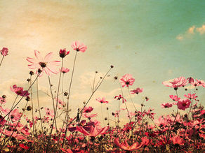 Celebrate World Photography Day With Stock Photos