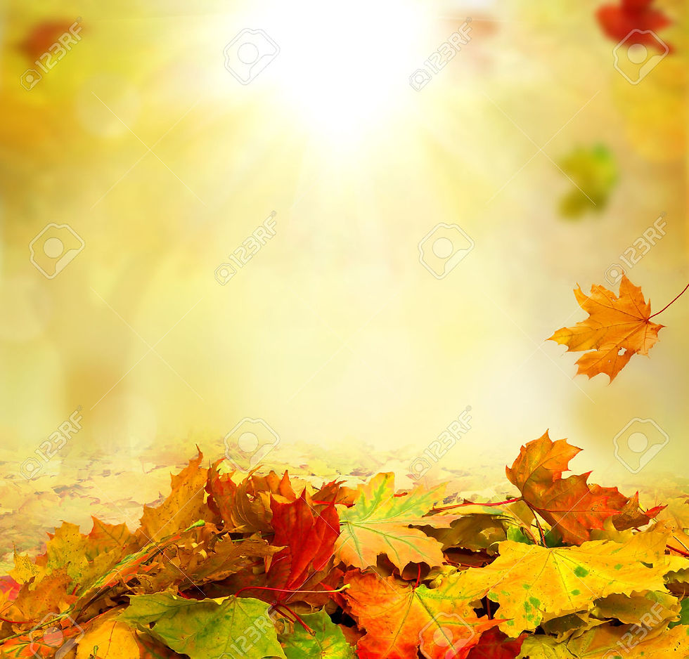 Stock Photo - autumn background