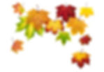 Stock Photo - Multi-colored autumn leaves falling down, with white copy space