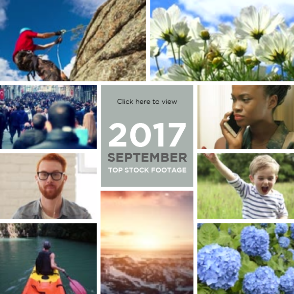 Top Stock Footage Best Sellers 123RF Blog