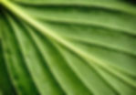 A Guide To The Types of Textures In Visual Design - 123RF Blog