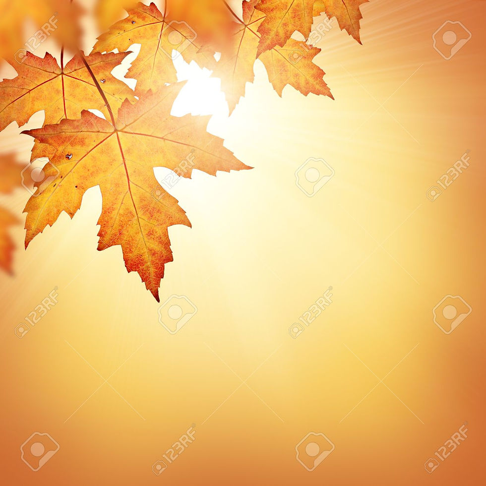 Stock Photo - Orange fall leaves border background