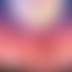 The Ultimate Guide to 2019’s Biggest Illustration Trends