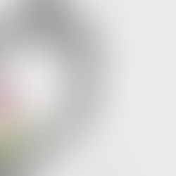 The Bride Who Said I Do – A Valentine Classic