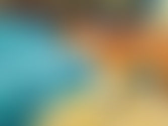 National Mutt Day: All About Our Canine Companions