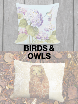 Birds & Owls Pillows