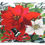 Thumbnail: Holiday Wildflowers 1 Pillow