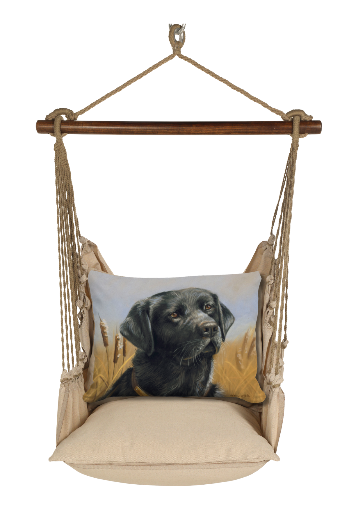 Hammock Swing 4-piece Set - Latte Solid w/ Labrador Black
