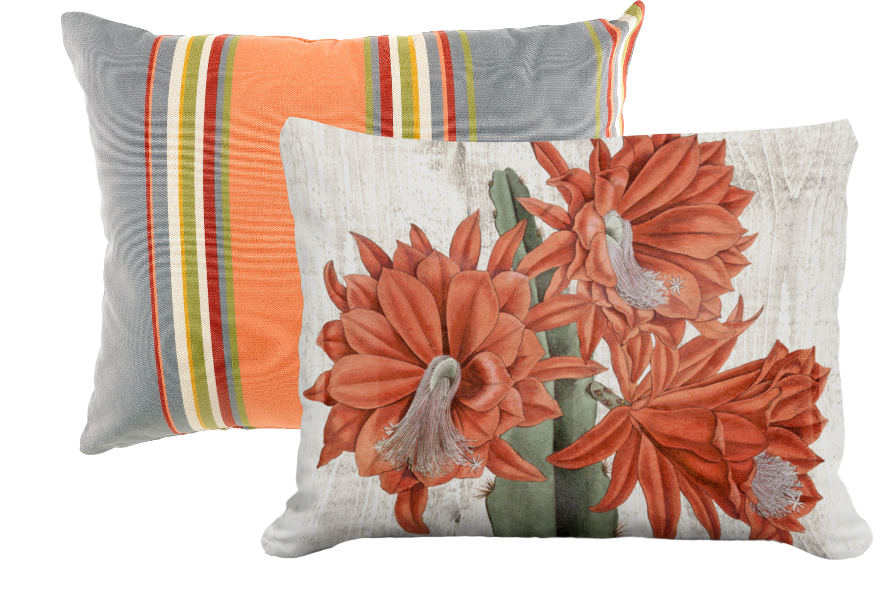 Pillow Bundle - Serene Sunset + Cactus Red Flower 2 (19x24")