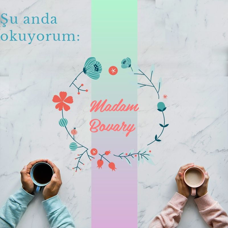 Şu anda okuyorum : Madam Bovary - FLAUBERT