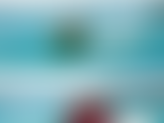 Single vs. Multi-Rider Water Tubes: Which One Should You Pick?