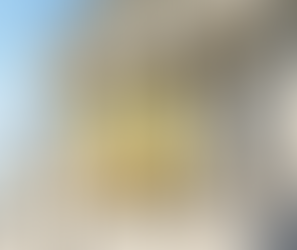 US Public Debt Structural Fragilities and Multipolar Horizons