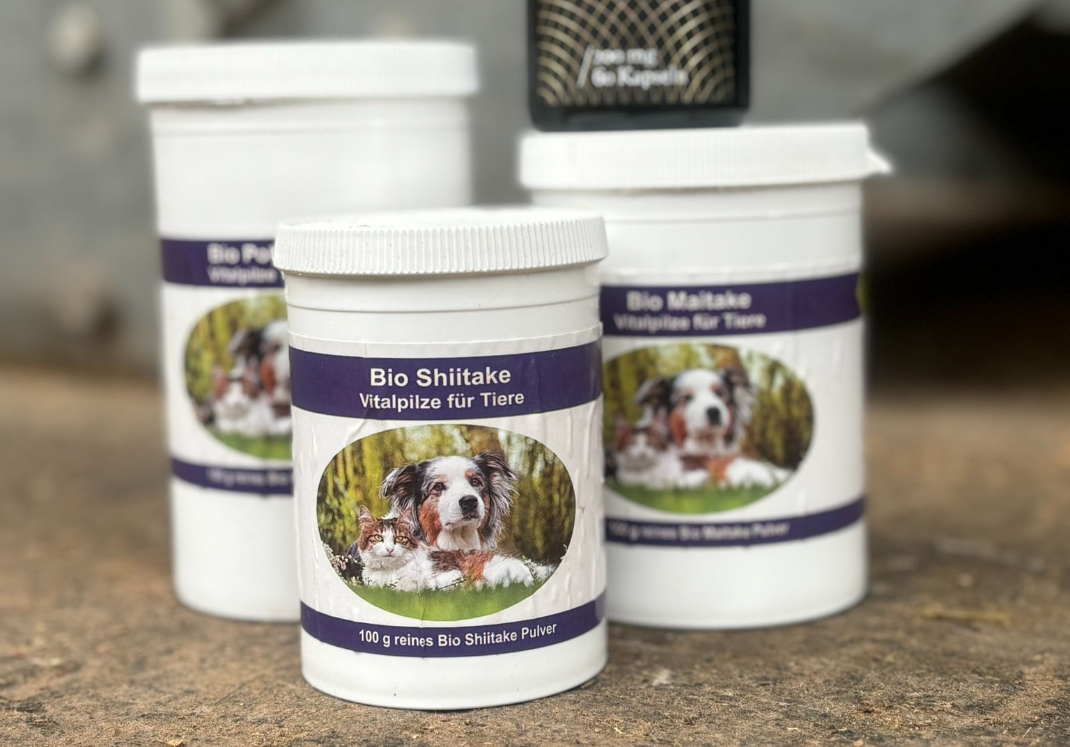 Vitalpilze für Tiere