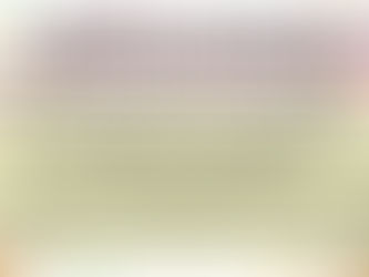 2024 ACT Volunteer Party