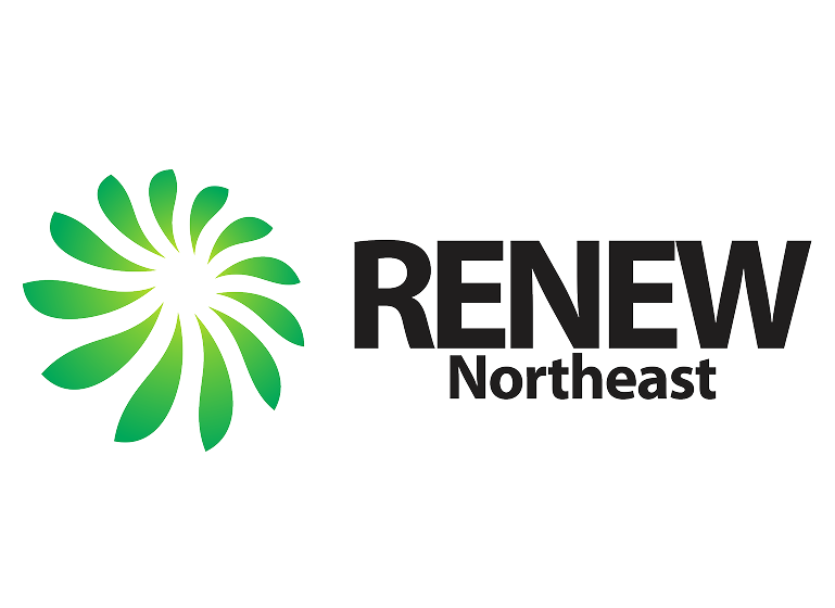 Green floral logo beside black text RENEW INDONESIA on black background.