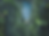img (9).png