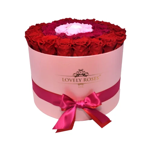 Extra large round degrading purple preserved roses lovely roses