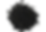 image (21).png