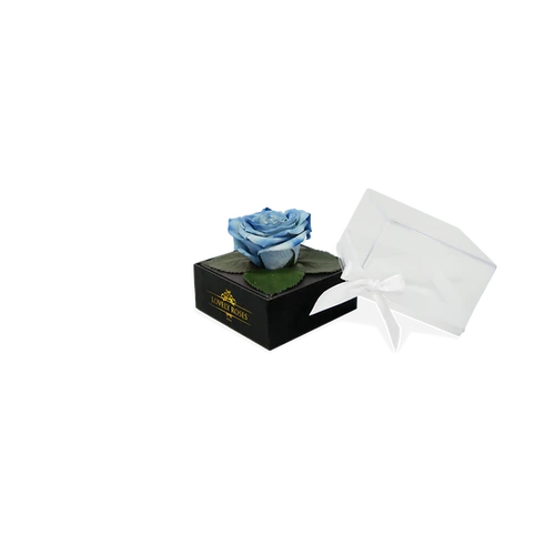 Crystal One Love Rose | Lovely Roses