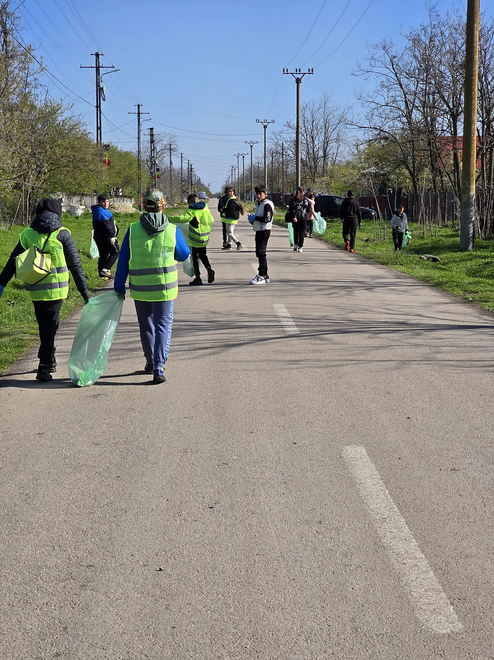 actiune ecologizare grindu.jpg