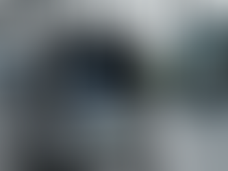 Green Fact of the Month – Ianuarie: Coșul de gunoi care „gândește” înainte să arunci