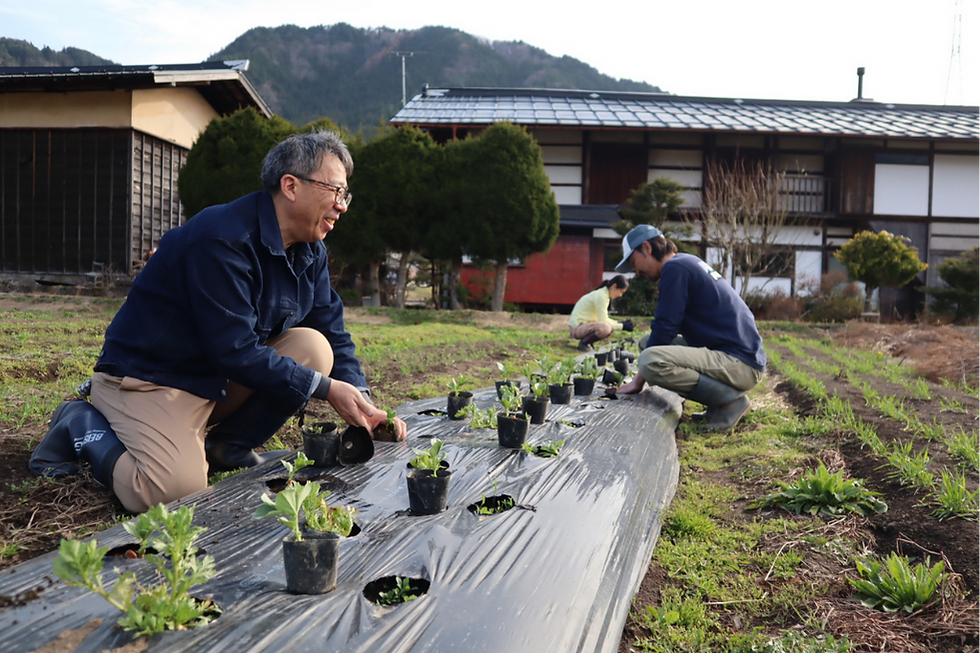 経験者イメージ３