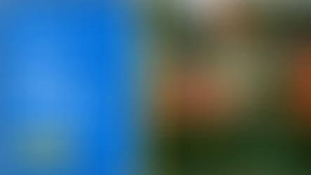 eLearning: Illustrating How to Detect Counterfeit Currency