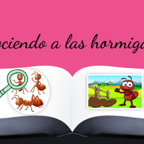 Explicación hormigas 3.0.