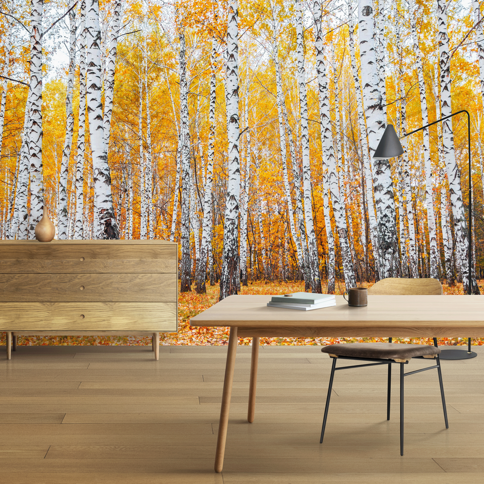 Betulle in autunno due