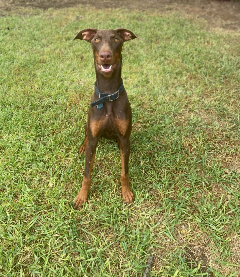 Blair is ADOPTED!