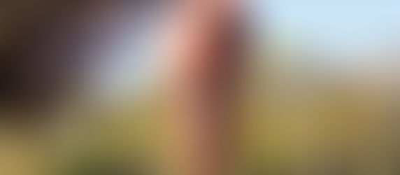 Pontarlier to Les Hopitaux Neufs