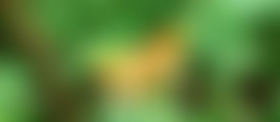 Ornans to Mouthier Haut Pierre