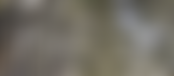 Collecting the Testimonium