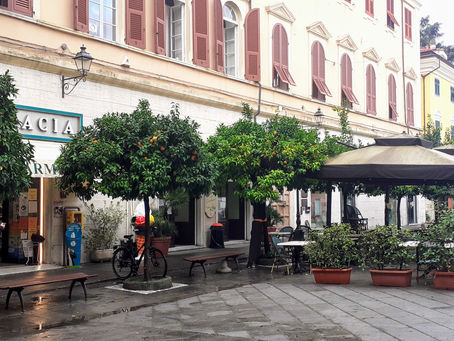 Sarzana to Marina di Massa