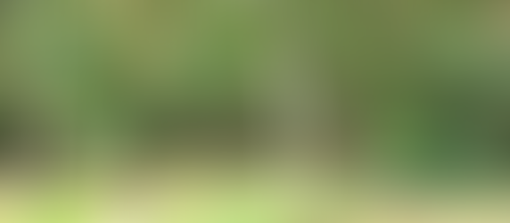 Radicofani to Acquapendente