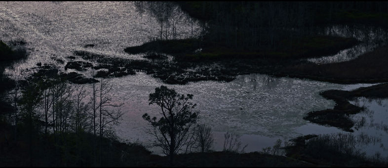 Screenshot 2025-03-24 at 3.57_edited.jpg