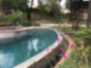 IMG_4665.jpeg