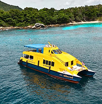MV-Stingray .jpg