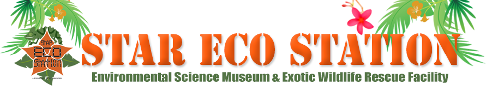 Star Eco Station
