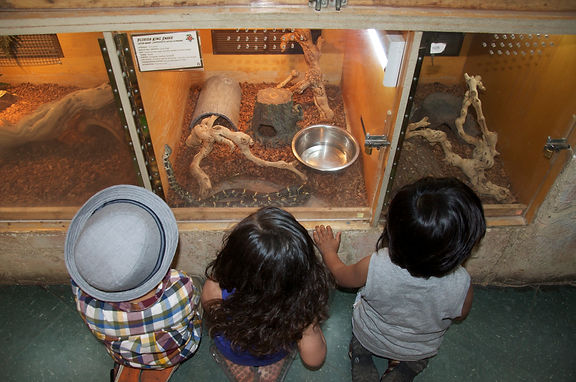 Tours and Hours